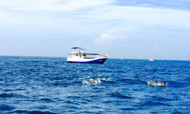 宜迅公司借船出海 助力“一帶一路”基礎(chǔ)設(shè)施項目建設(shè)